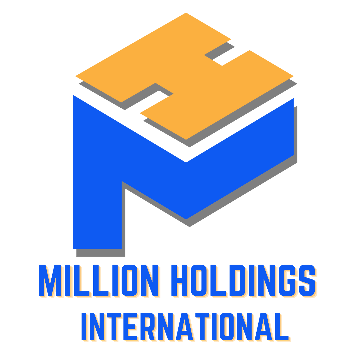 cropped Million Holdings 1500 x 1500 px